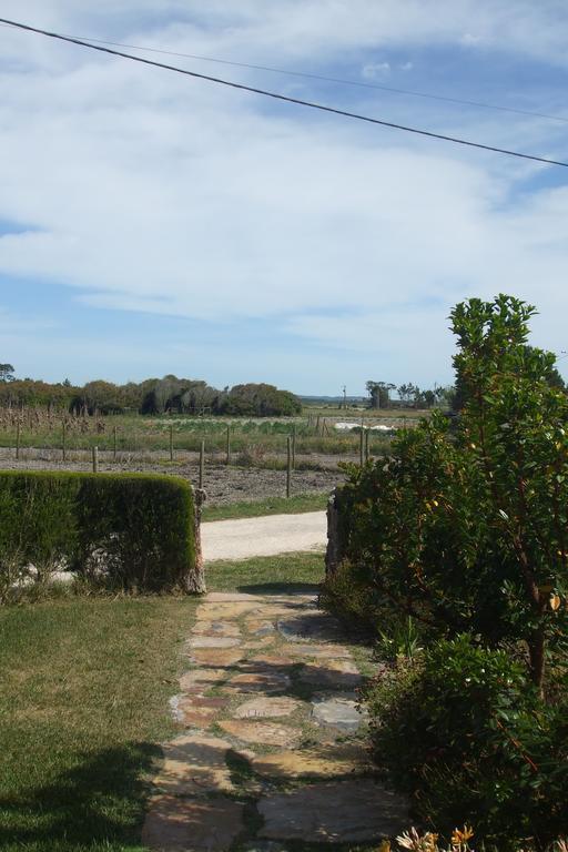 Quinta Da Bunheira Pensionat Rogil Exteriör bild