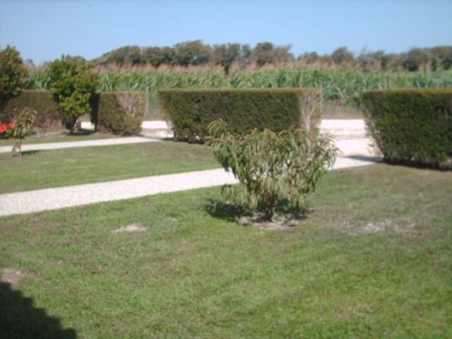 Quinta Da Bunheira Pensionat Rogil Exteriör bild